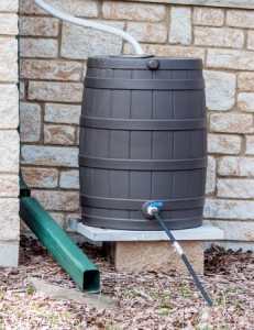 St. Louis Eco-friendly Rain Barrel