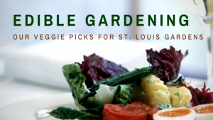 STL Edible Gardening