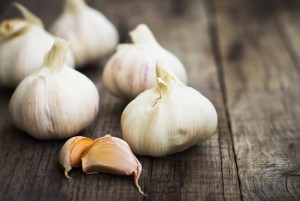 growing garlic at home