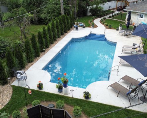 04 - pool privacy plants in Webster Groves  MO