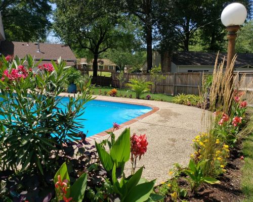 10 - pool landscaping