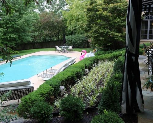 6 - pool with landscaping