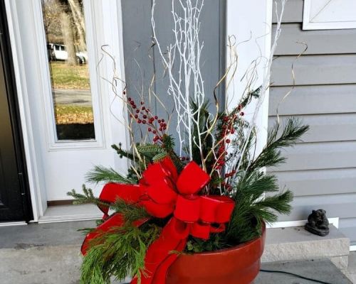 Container Gardens for the Holidays