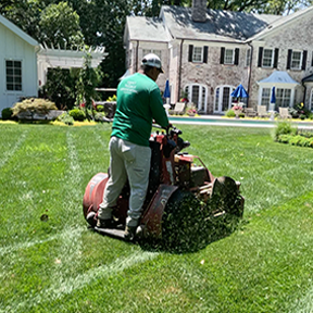 Mowing/Triming