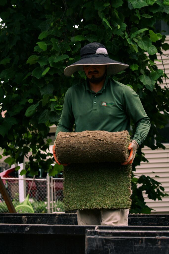 Quiet Village Landscaping crew member lifting and preparing a fresh roll of sod for installation on a St. Louis property with mature landscaping in the background.